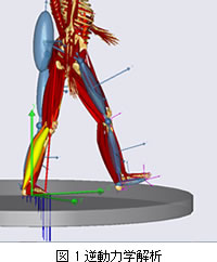 図1　逆動力學(xué)解析