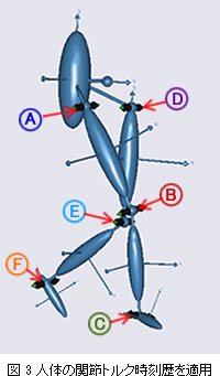 図3　人體の関節(jié)トルク時刻歴を適用